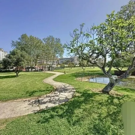 Apartment Beau T2 A 200m De La Et Proches Toutes Commodites Antibes