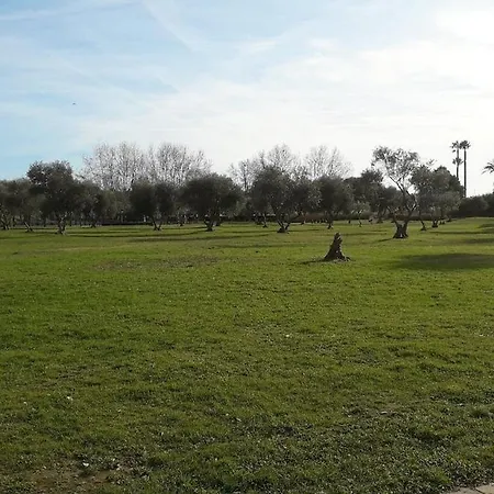 Apartment Beau T2 A 200m De La Et Proches Toutes Commodites *