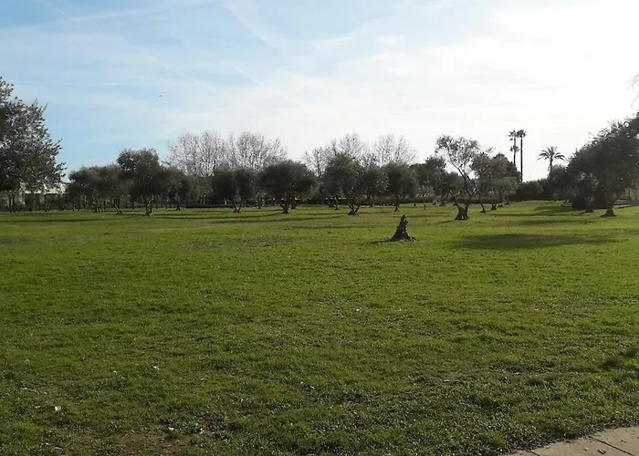 Apartment Beau T2 A 200m De La Et Proches Toutes Commodites *